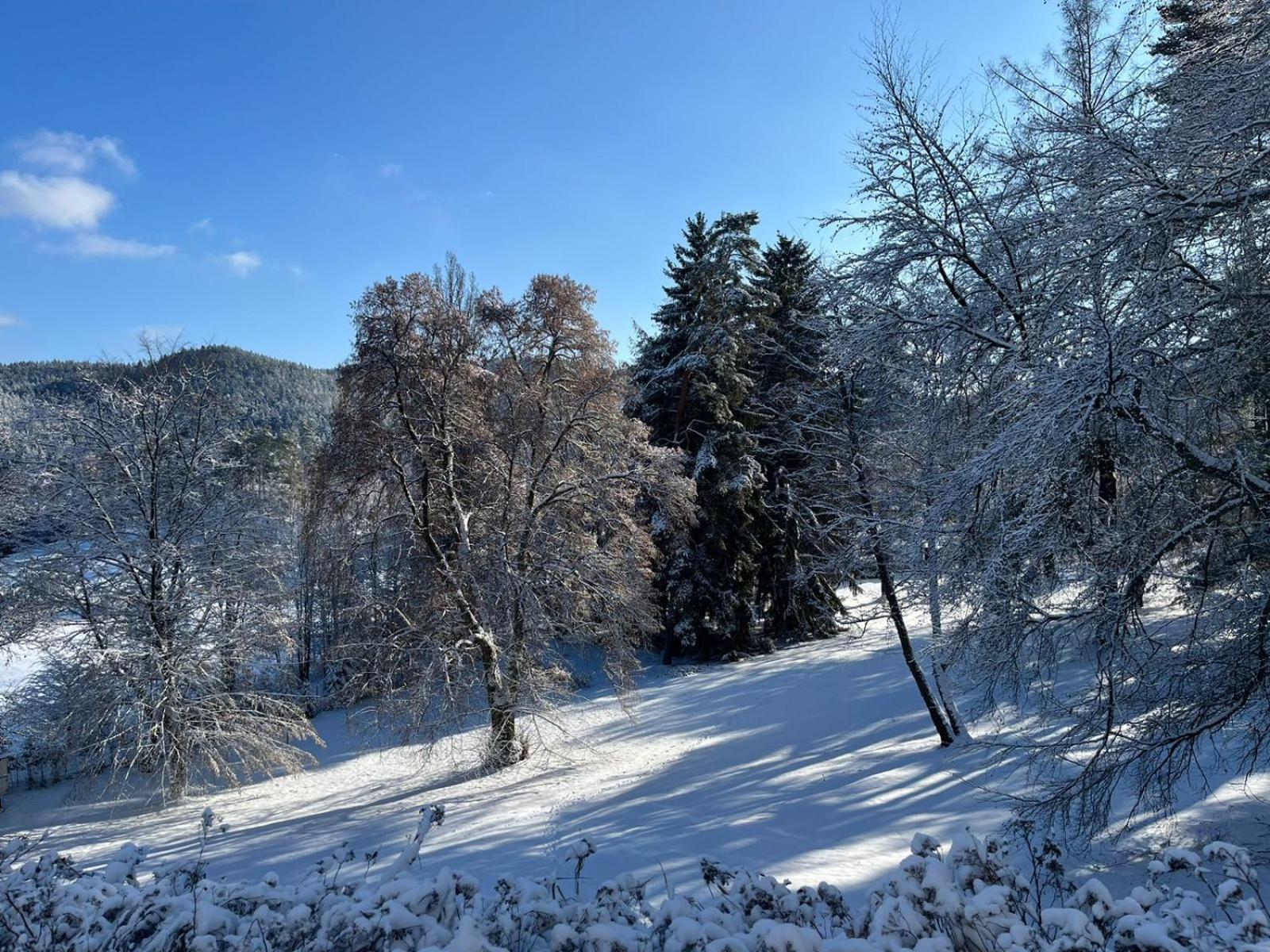 Penzion U Golfu Karlovy Vary Esterno foto